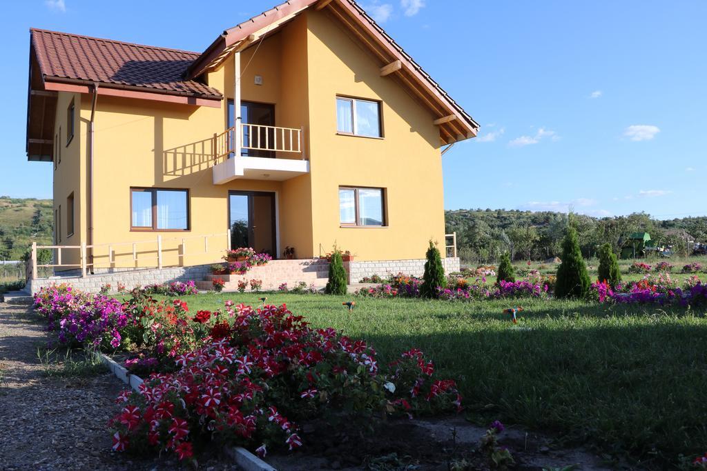 Pensiunea Diana Trestiana Exterior foto